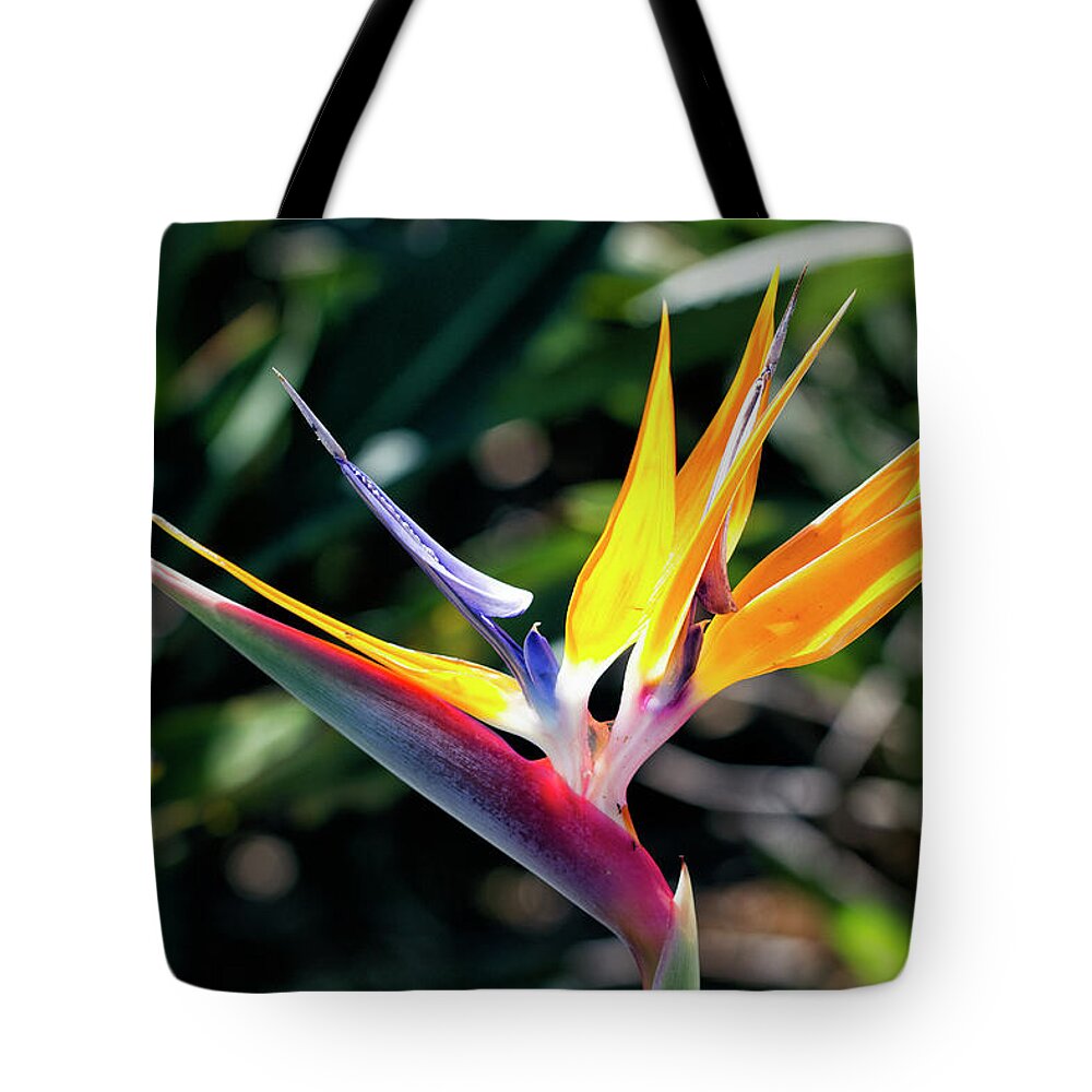 Granger Photography Tote Bag featuring the photograph Bird Of Paradise by Brad Granger