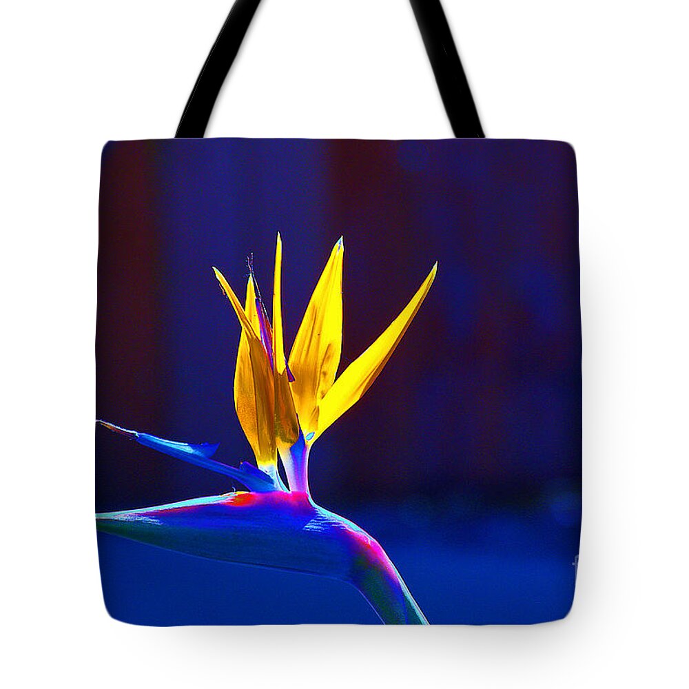  Tote Bag featuring the photograph Bird of Paradise by David Frederick