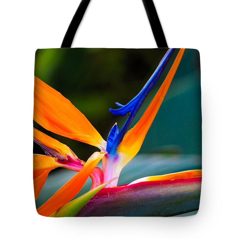 Floral Tote Bag featuring the photograph Bird of Paradise by Jade Moon