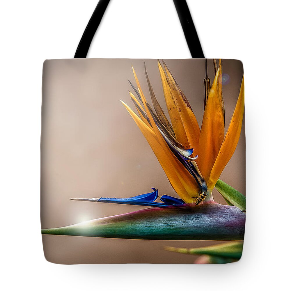 California Tote Bag featuring the photograph Bird of Paradise by Patrick Boening