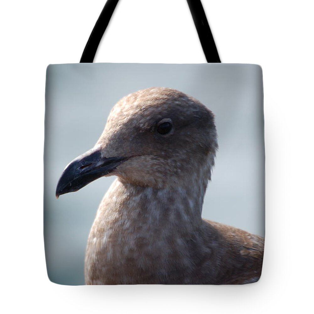 California Gull Tote Bag featuring the photograph Bird portrait by Maria Aduke Alabi