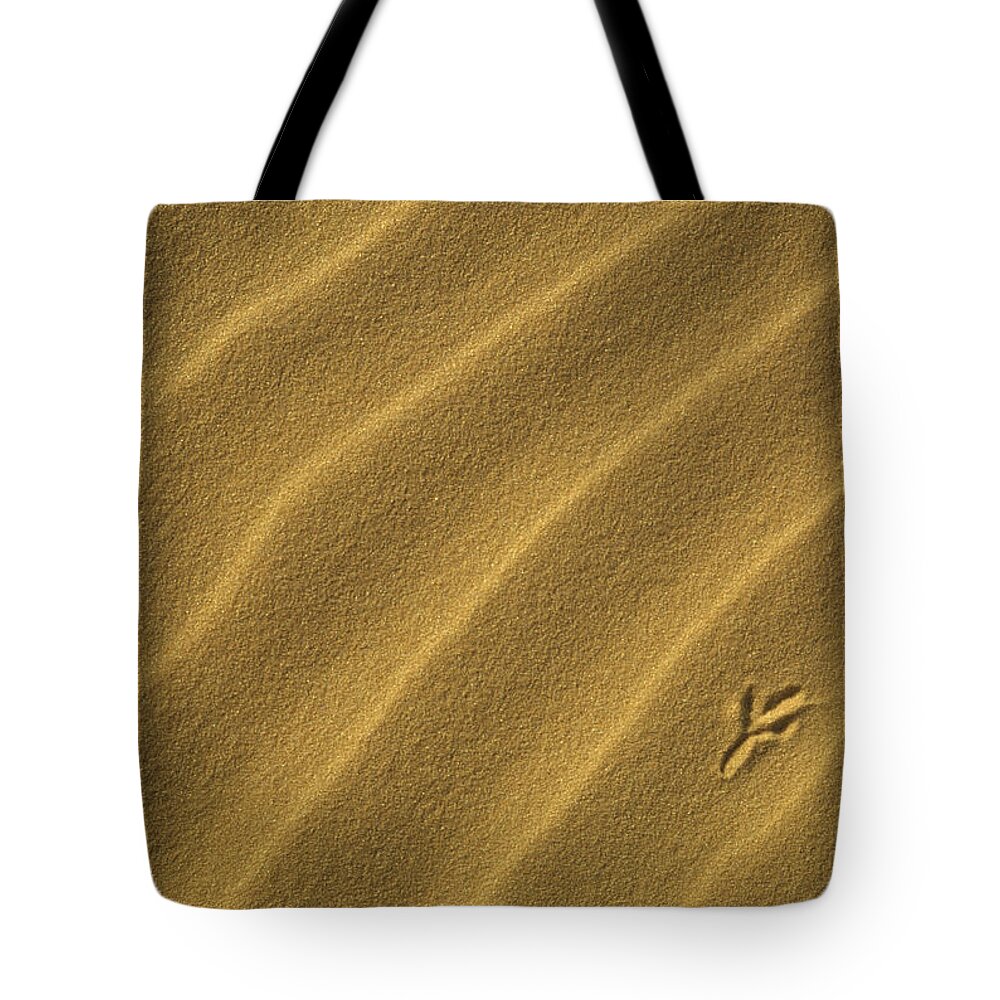 00203293 Tote Bag featuring the photograph Bird Tracks on Sand Dune by Gerry Ellis