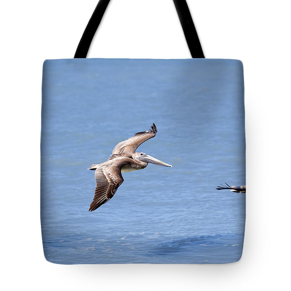 Birds Tote Bag featuring the photograph Birds 1039 by Michael Fryd