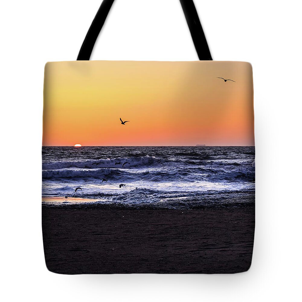 Birds Tote Bag featuring the photograph Birds at Sunrise by Nicole Lloyd