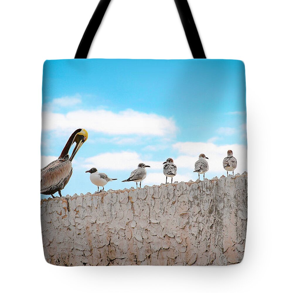 Bonnie Follett Tote Bag featuring the photograph Birds Catching Up on News by Bonnie Follett