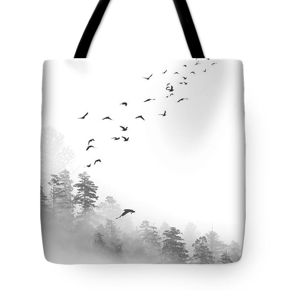 Bird Tote Bag featuring the photograph Birds in the Mist by Greg Waters