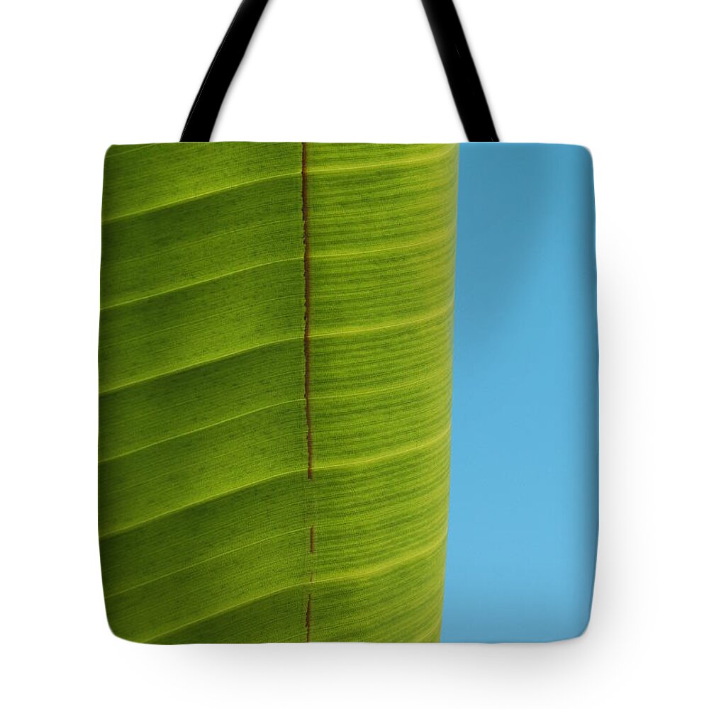 Birds Of Paradise Leaf Tote Bag featuring the photograph Birds Leaf by Kelly Wade