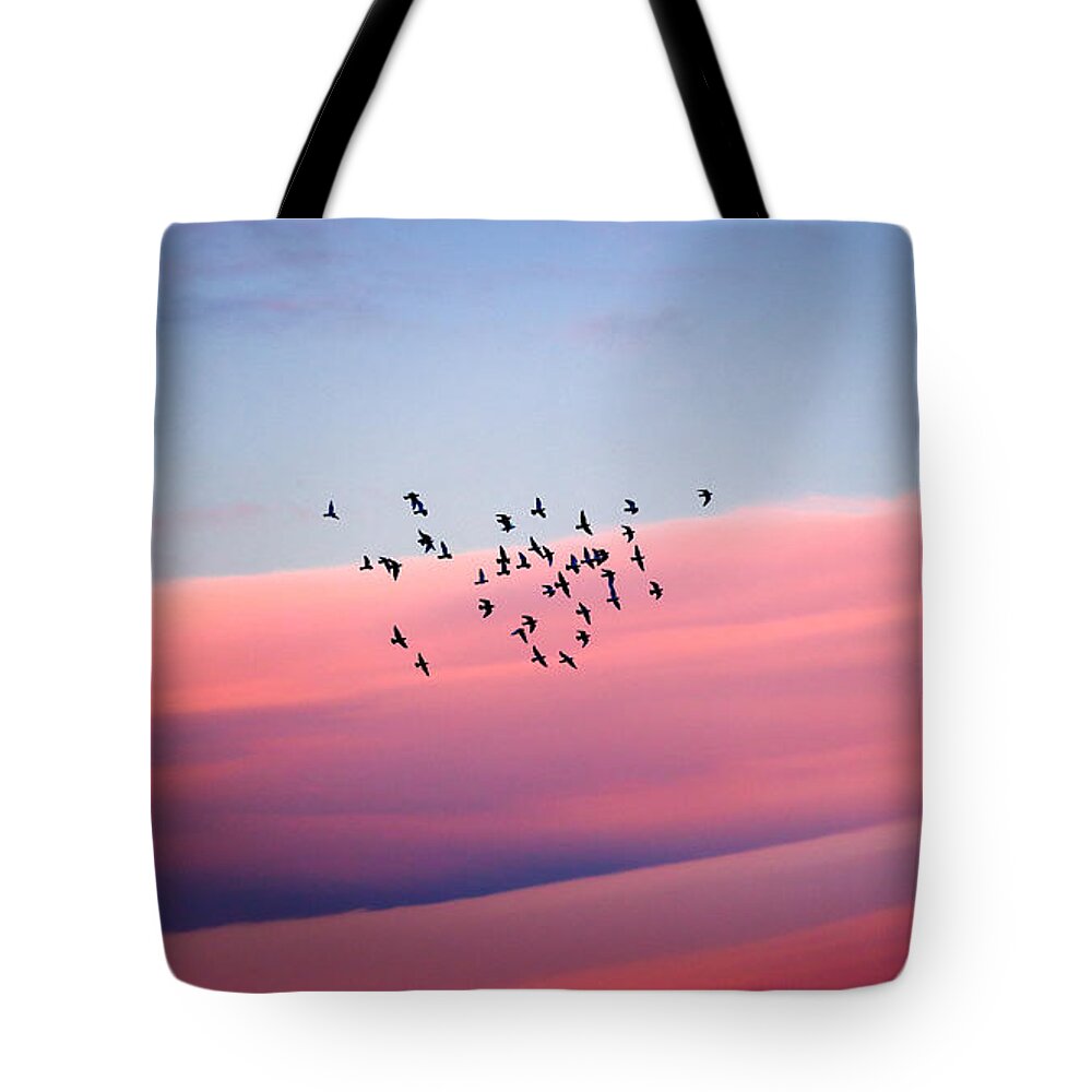 Air Tote Bag featuring the photograph Birds migration by Anna Om