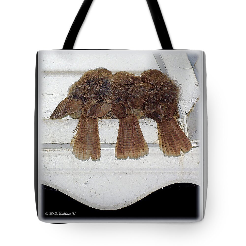 2d Tote Bag featuring the photograph Birds Of A Feather by Brian Wallace