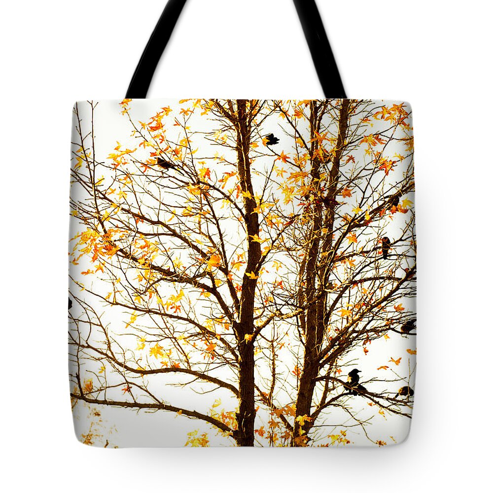 Birds Tote Bag featuring the photograph Birds on a Tree by Iris Greenwell