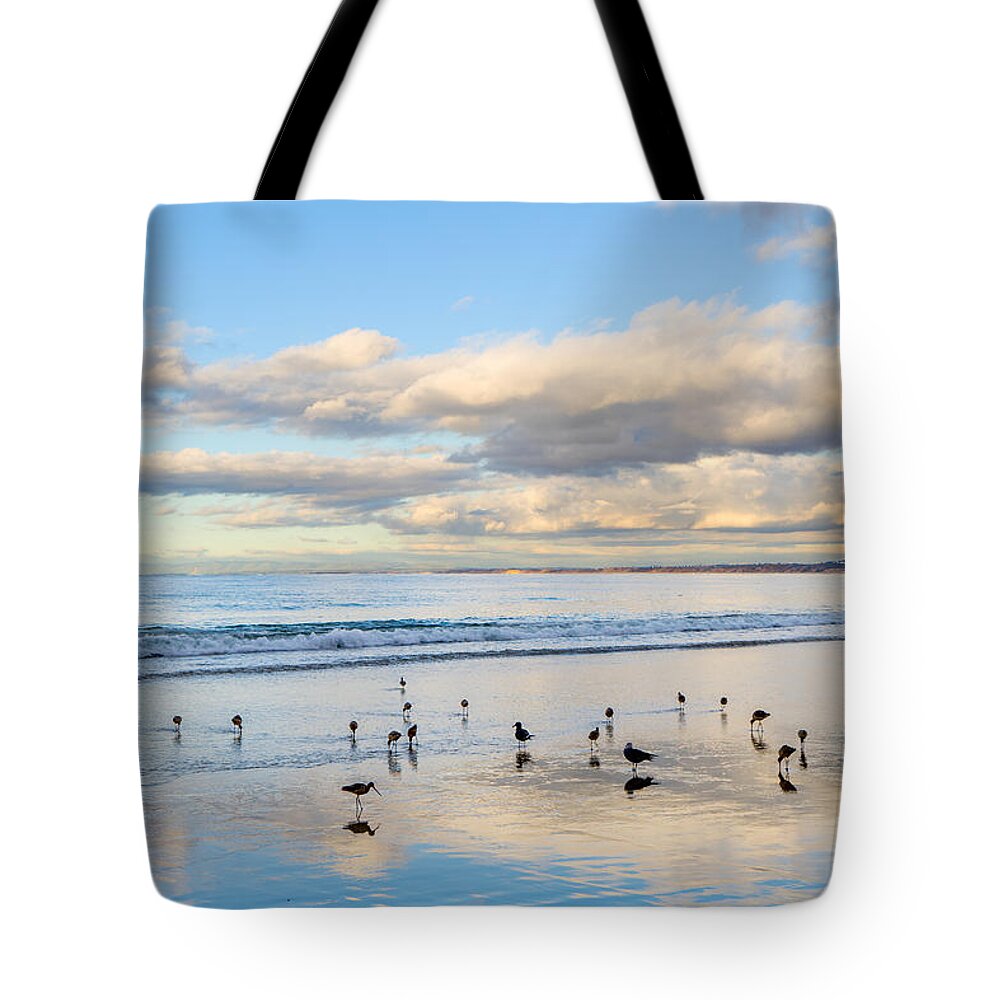 Birds Tote Bag featuring the photograph Birds on the Beach by Derek Dean