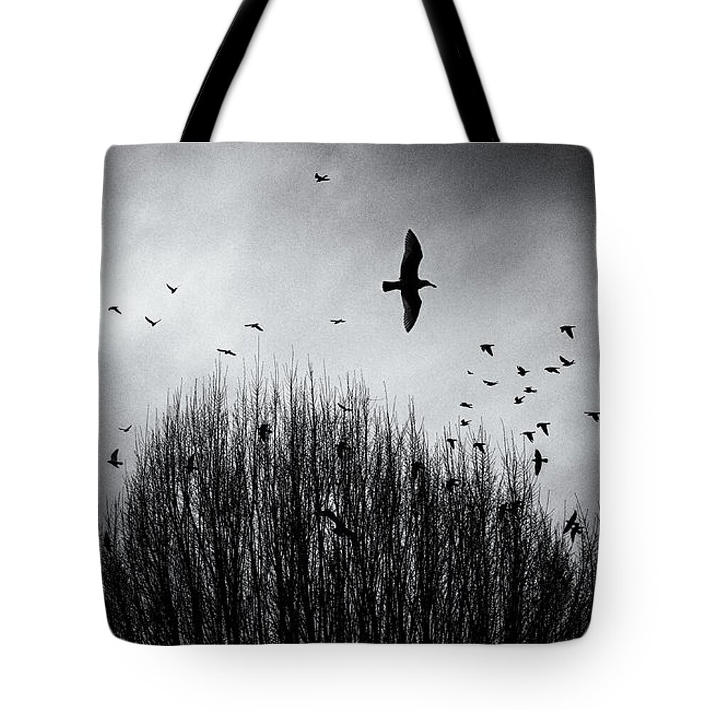 Abstract Tote Bag featuring the photograph Birds over Bush by Peter V Quenter