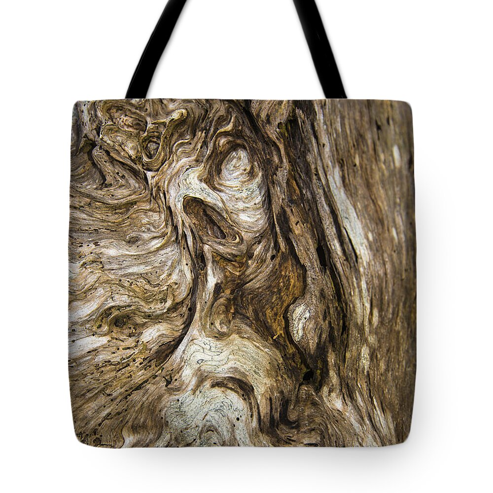 Abstract Tote Bag featuring the photograph Birth of an Ent by Robert Potts