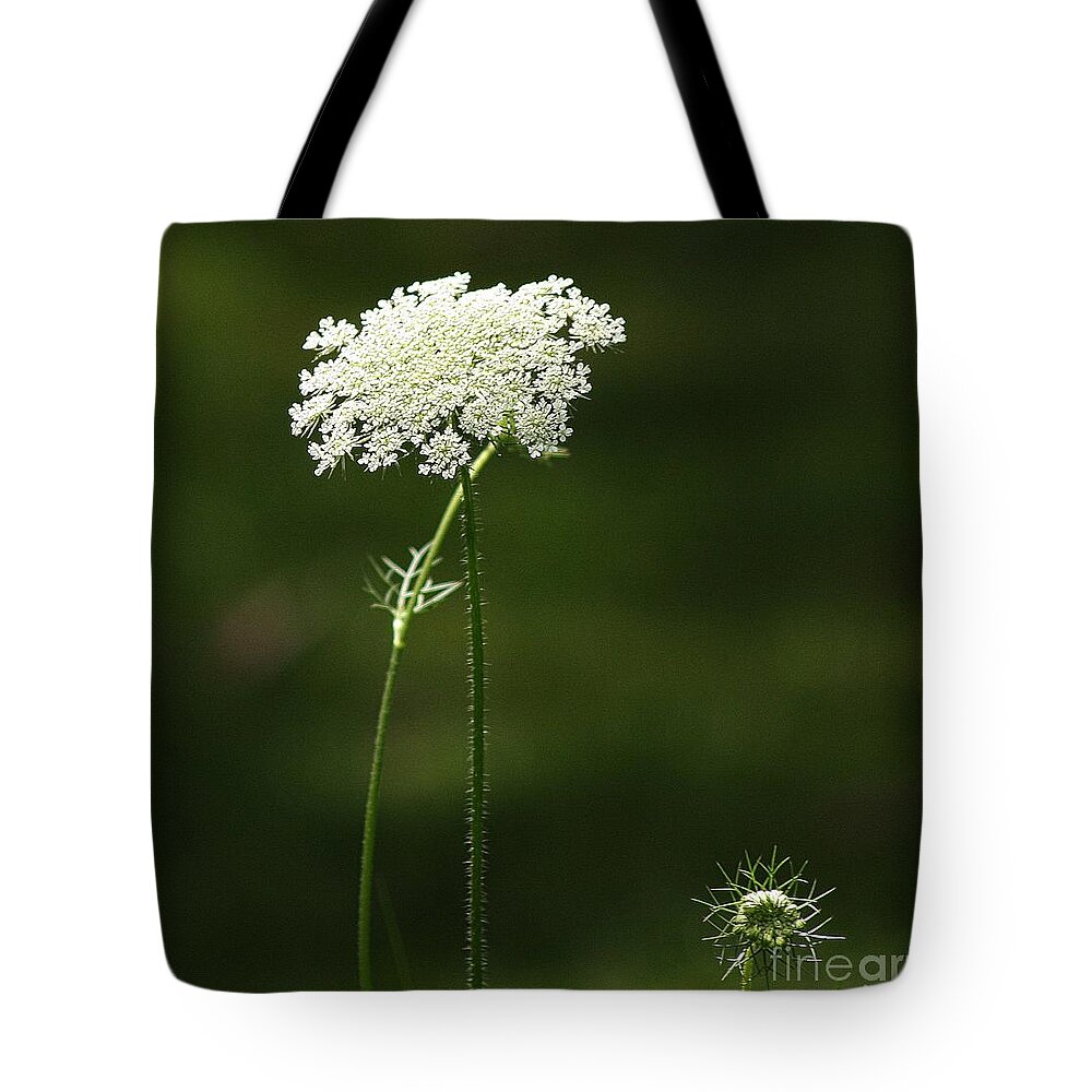  Tote Bag featuring the photograph Bishop's Lace by Marcia Lee Jones