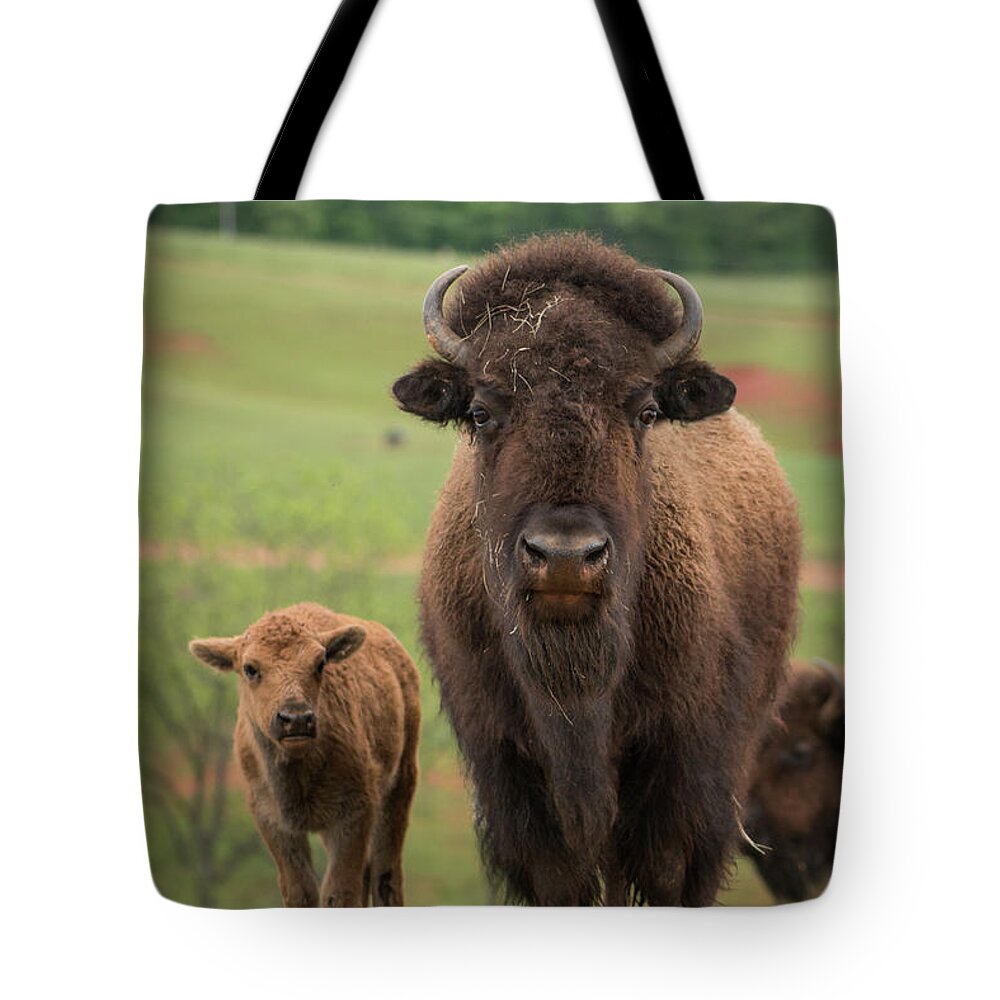 Bison Tote Bag featuring the photograph Bison 4 by Joye Ardyn Durham
