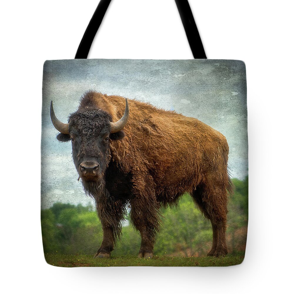 Bison Tote Bag featuring the photograph Bison 9 by Joye Ardyn Durham