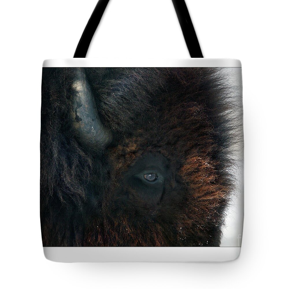Bison Tote Bag featuring the photograph Bison Bull's Eye by Bruce Morrison