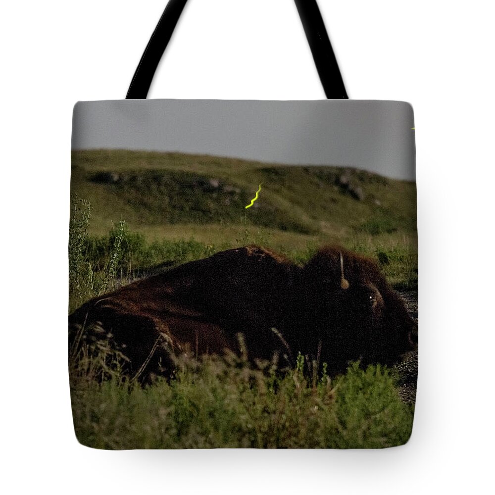 Kansas Tote Bag featuring the photograph Bison by moonlight 03 by Rob Graham