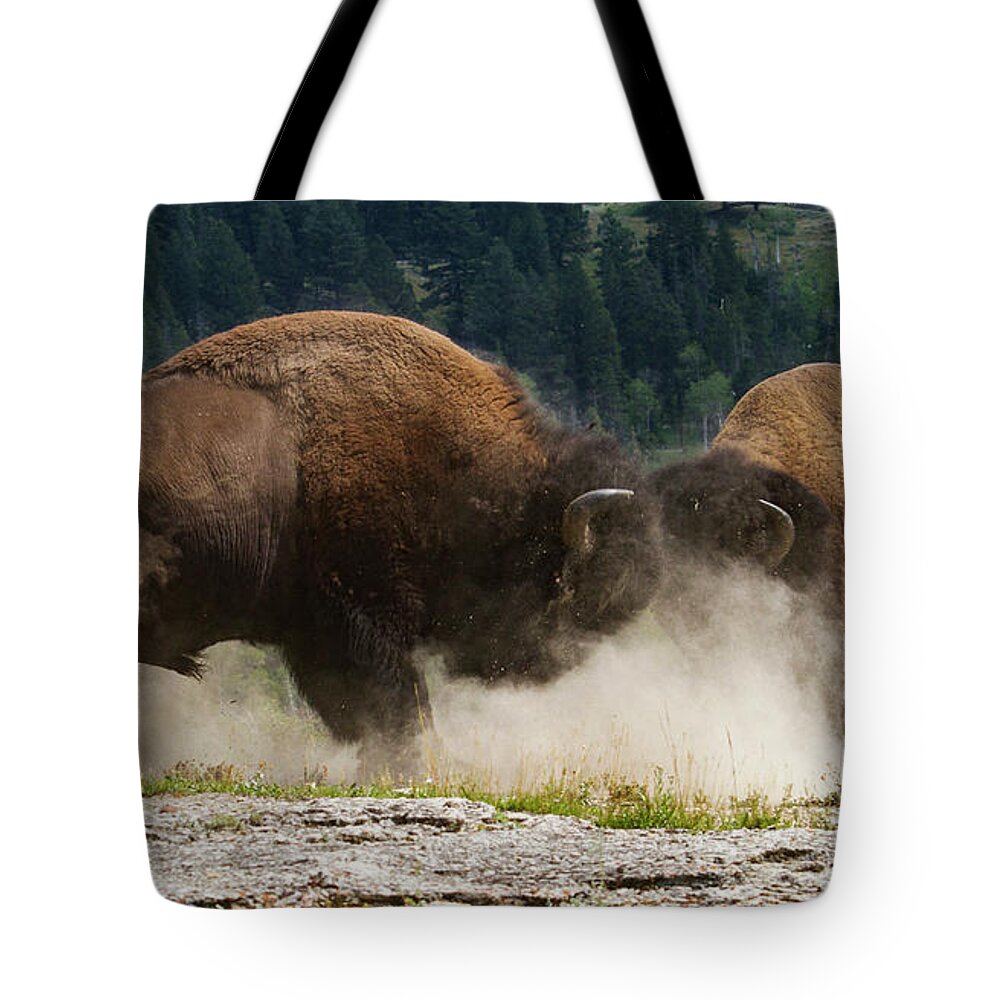 Mark Miller Photos Tote Bag featuring the photograph Bison Duel by Mark Miller