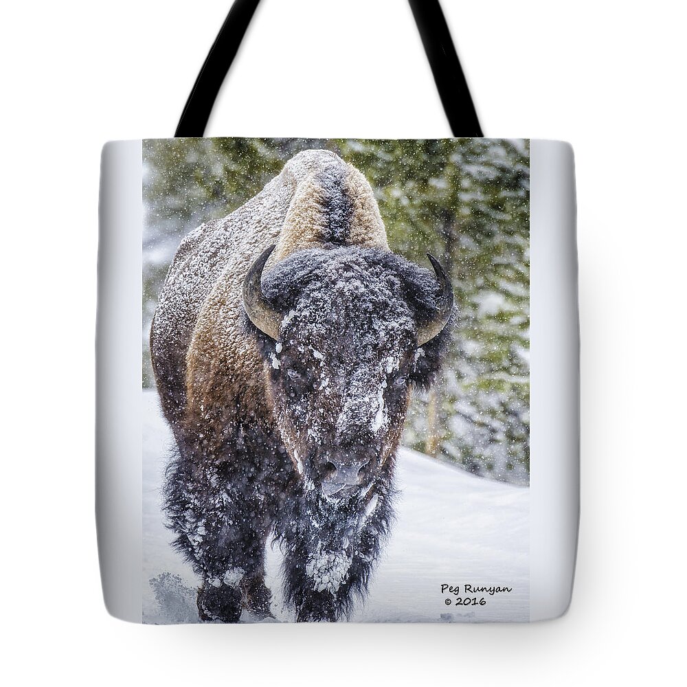 Bison Tote Bag featuring the photograph Bison in a Snowstorm by Peg Runyan