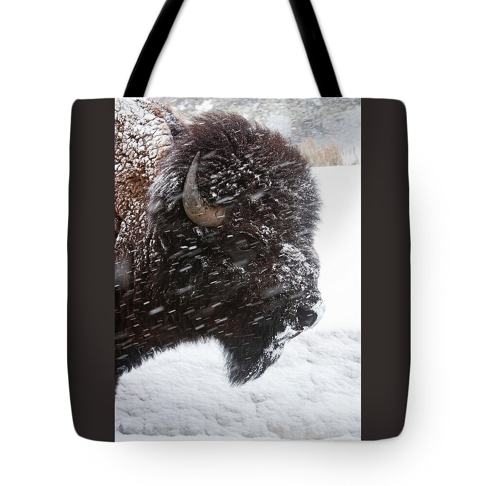 Bison Tote Bag featuring the photograph Bison in Snow by Mark Miller