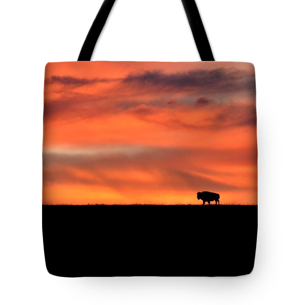  Tote Bag featuring the photograph Bison in the Morning Light by Keith Stokes