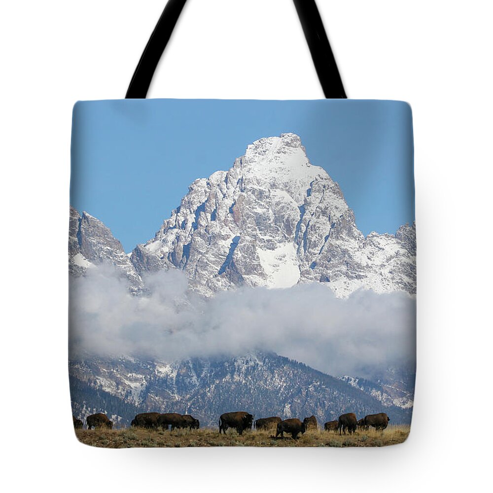 Bison Tote Bag featuring the photograph Bison in the Tetons by Wesley Aston