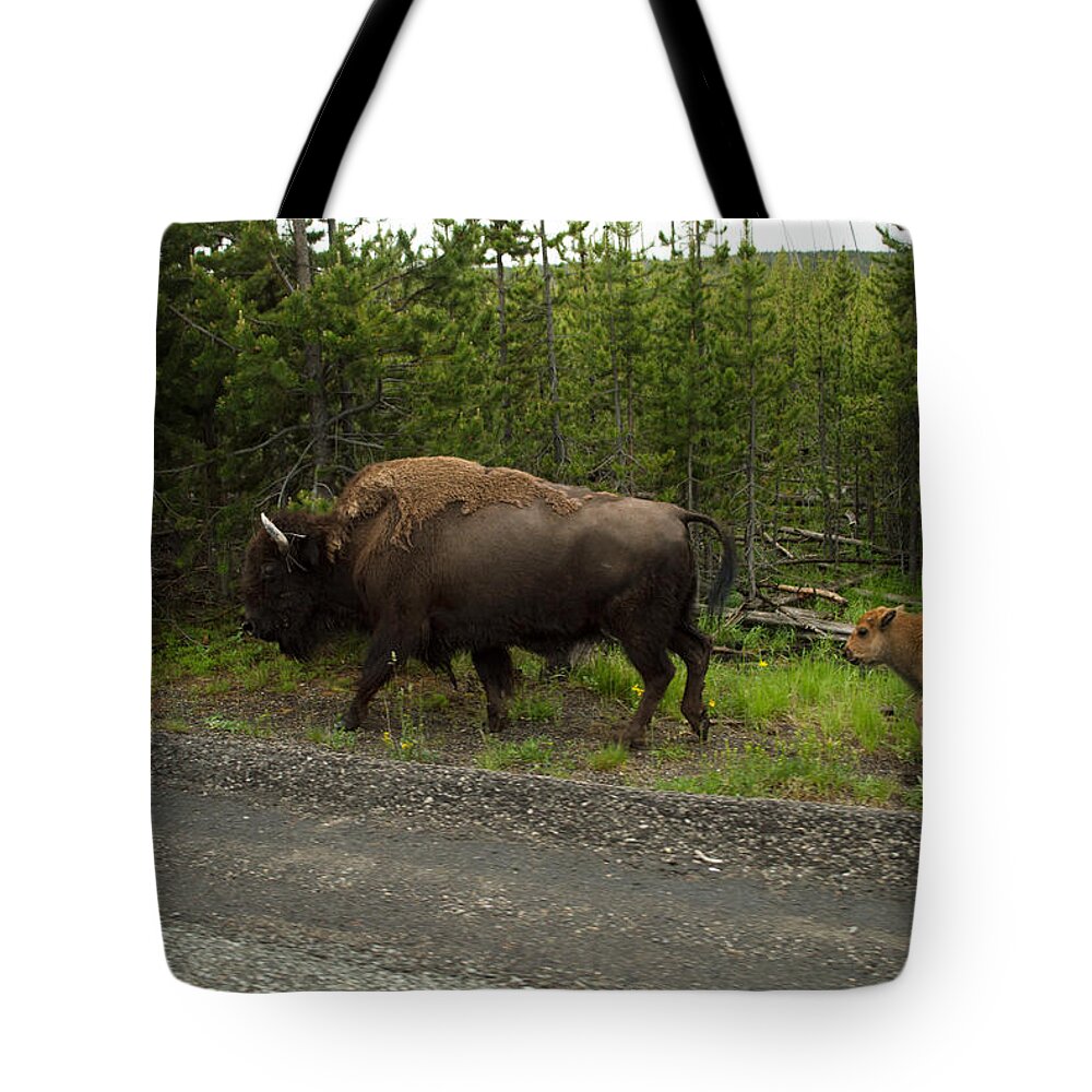 Bison Tote Bag featuring the photograph Bison by Linda Kerkau