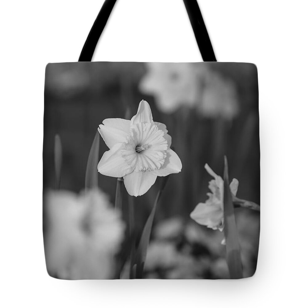 Black & White Tote Bag featuring the photograph Black and White 1 by Jimmy McDonald