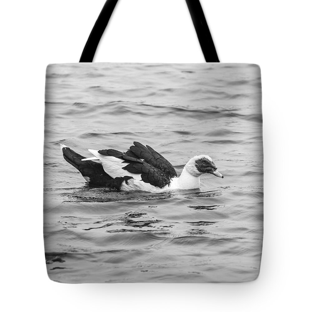 Black And White Tote Bag featuring the photograph Black and White 12 by Jimmy McDonald