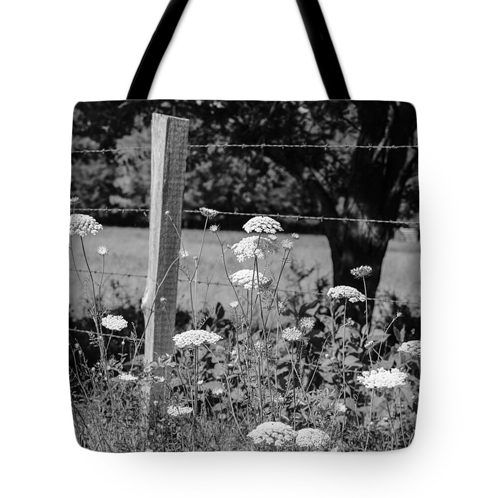 Black And White Tote Bag featuring the photograph Black and White 28 by Jimmy McDonald