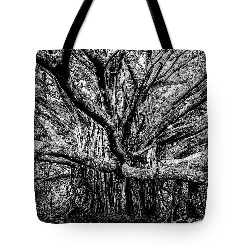 Banyan Tote Bag featuring the photograph Black and White Banyan by Kelley King