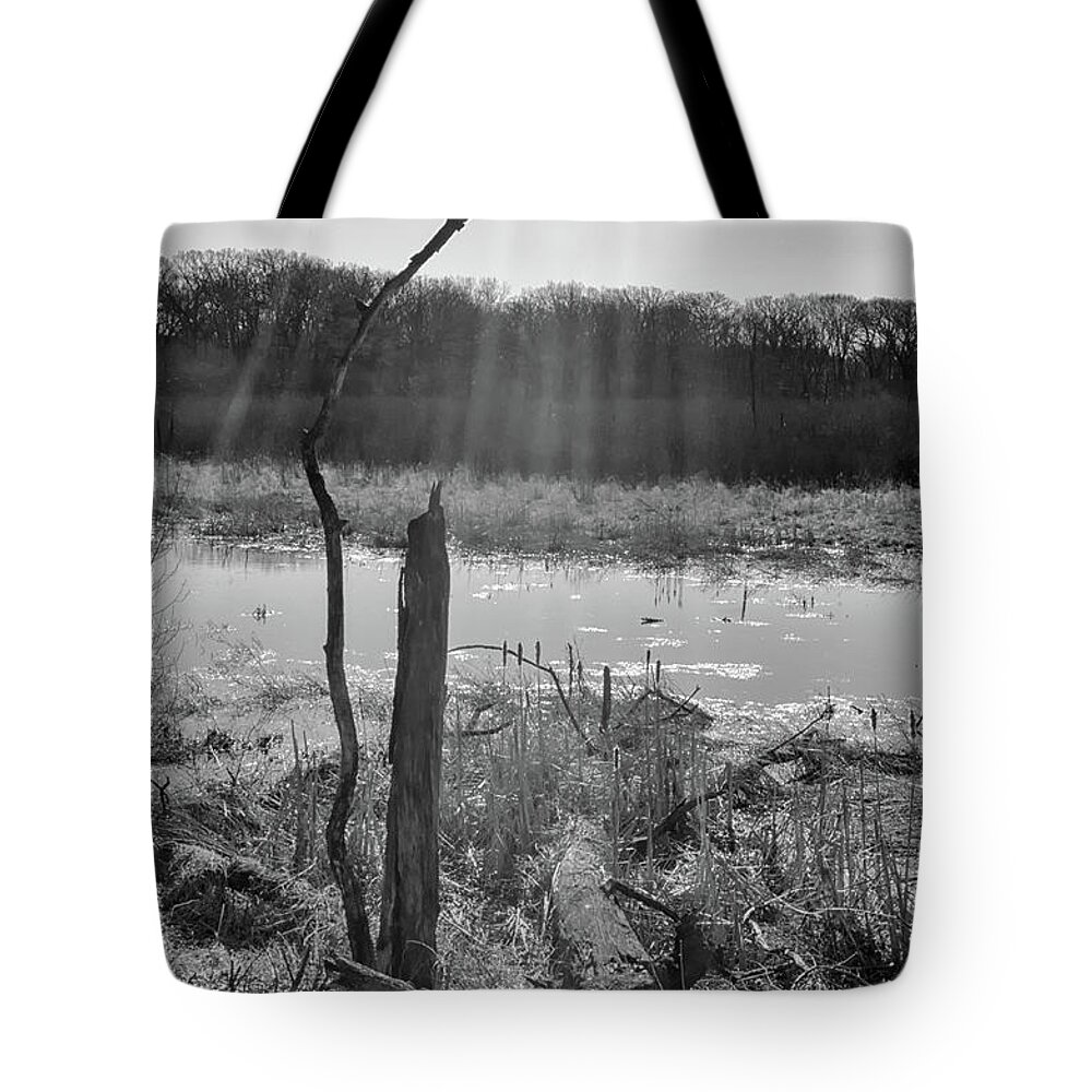 Black & White Tote Bag featuring the photograph Black and White Bog by Jim Shackett