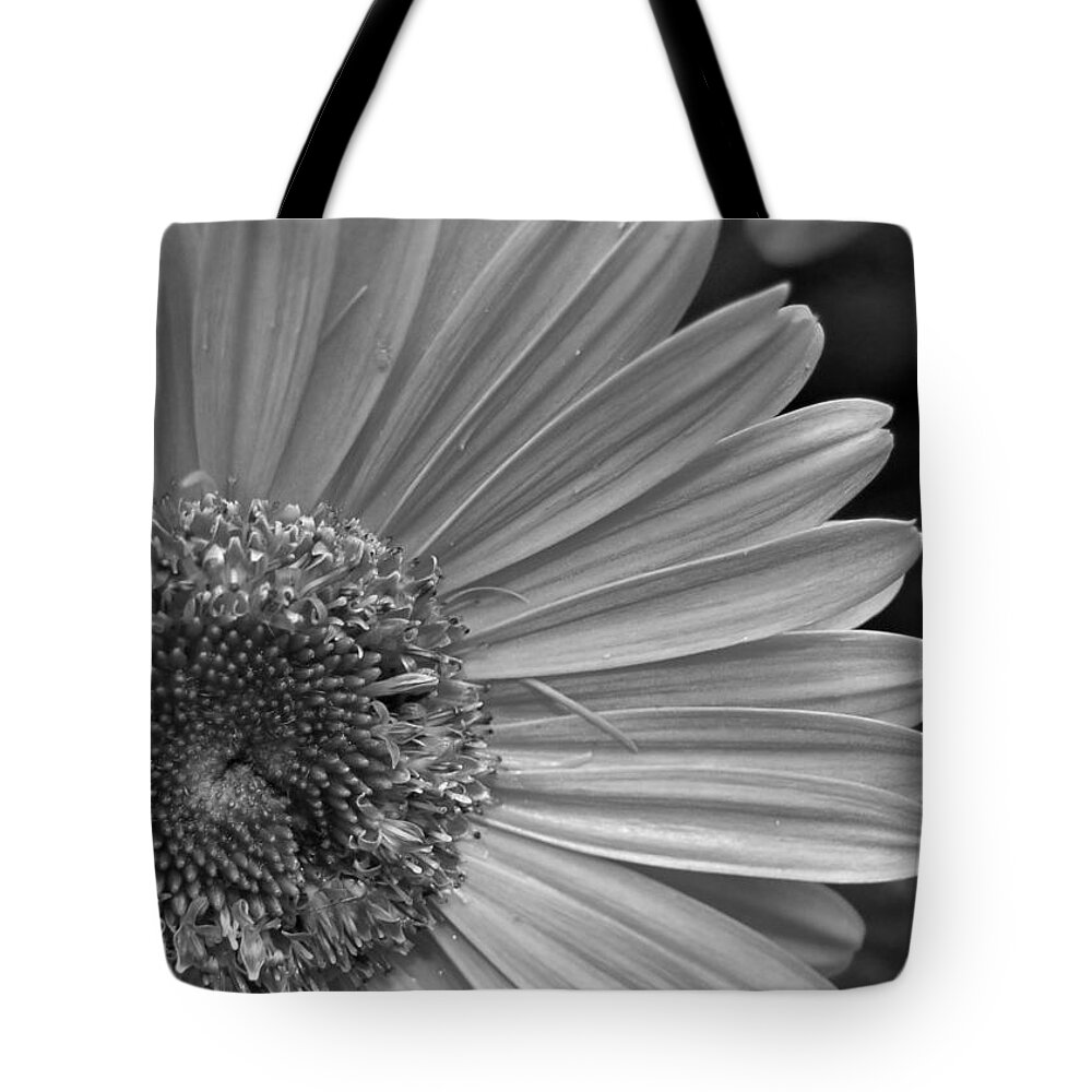 Flower Tote Bag featuring the photograph Black and White Gerber Daisy 5 by Amy Fose
