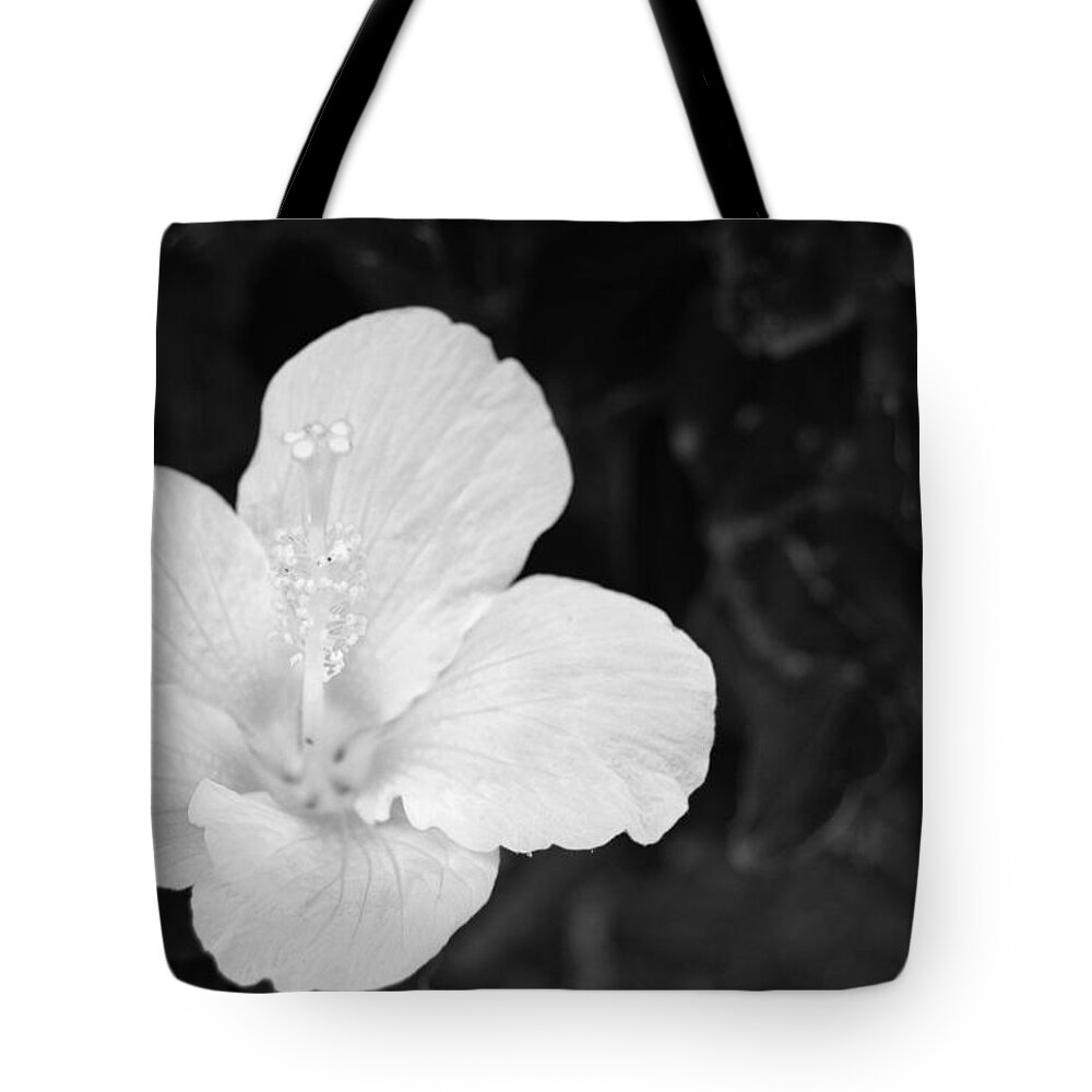 Flower Tote Bag featuring the photograph Black and White Hibiscus 3 by Amy Fose