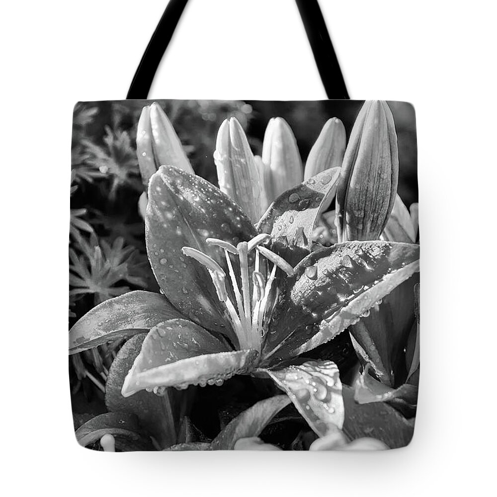 Black & White Tote Bag featuring the photograph Black and white lily by Debra Baldwin