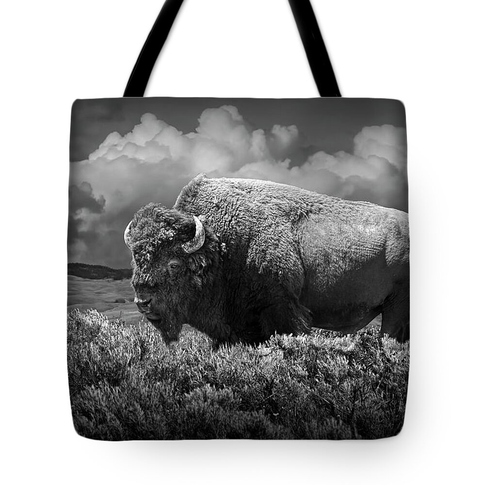 Buffalo Tote Bag featuring the photograph Black and White of American Buffalo in Yellowstone by Randall Nyhof