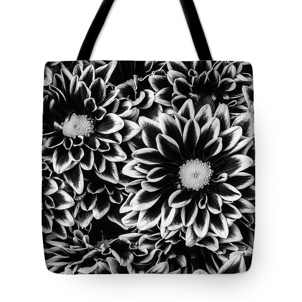 Pom Tote Bag featuring the photograph Black And White Poms by Garry Gay