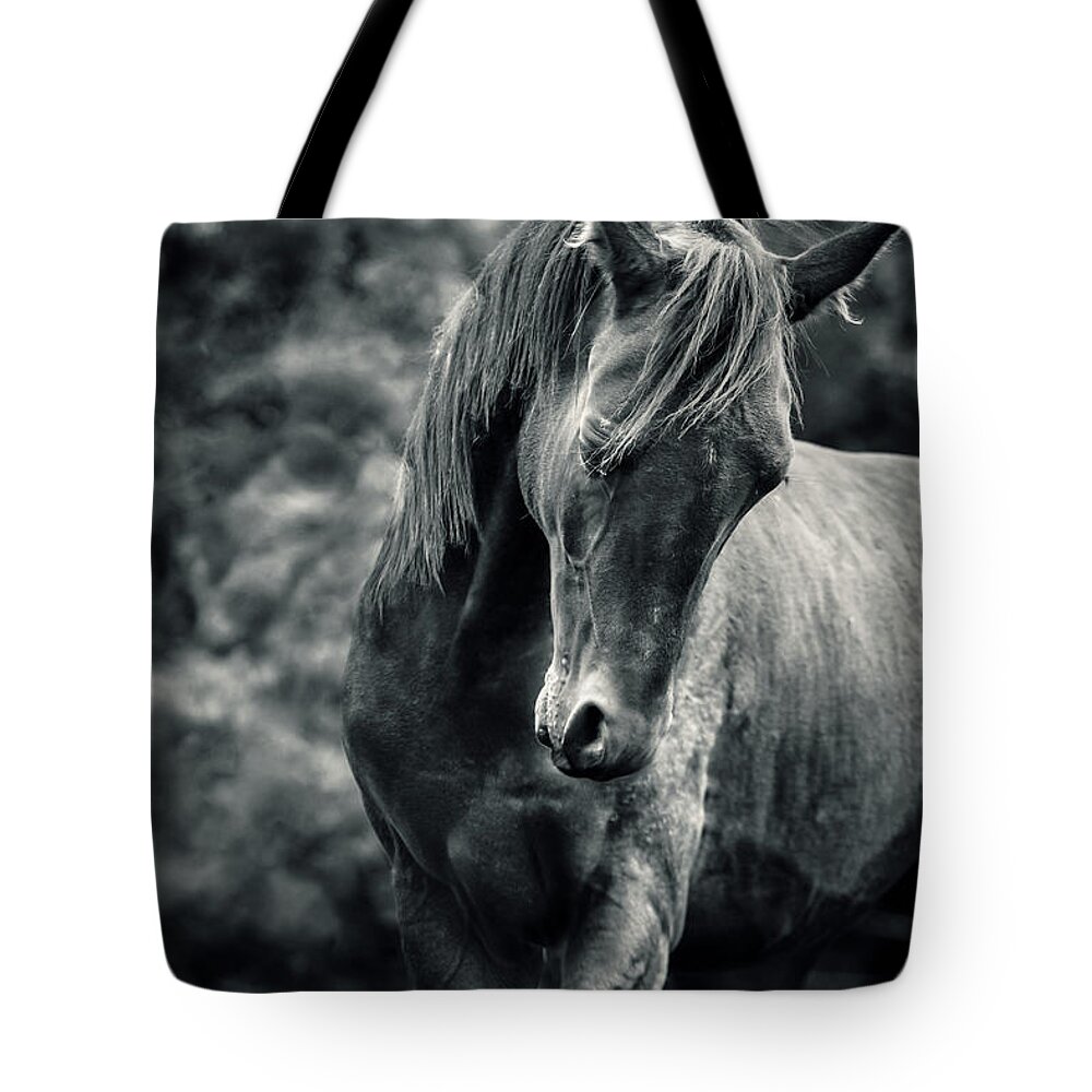 Horse Tote Bag featuring the photograph Black and white portrait of horse by Dimitar Hristov