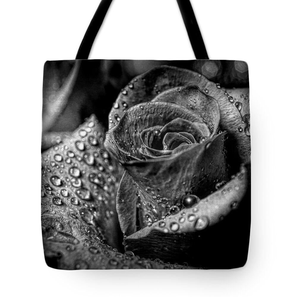 Rose Tote Bag featuring the photograph Black and White Rose by Lilia S