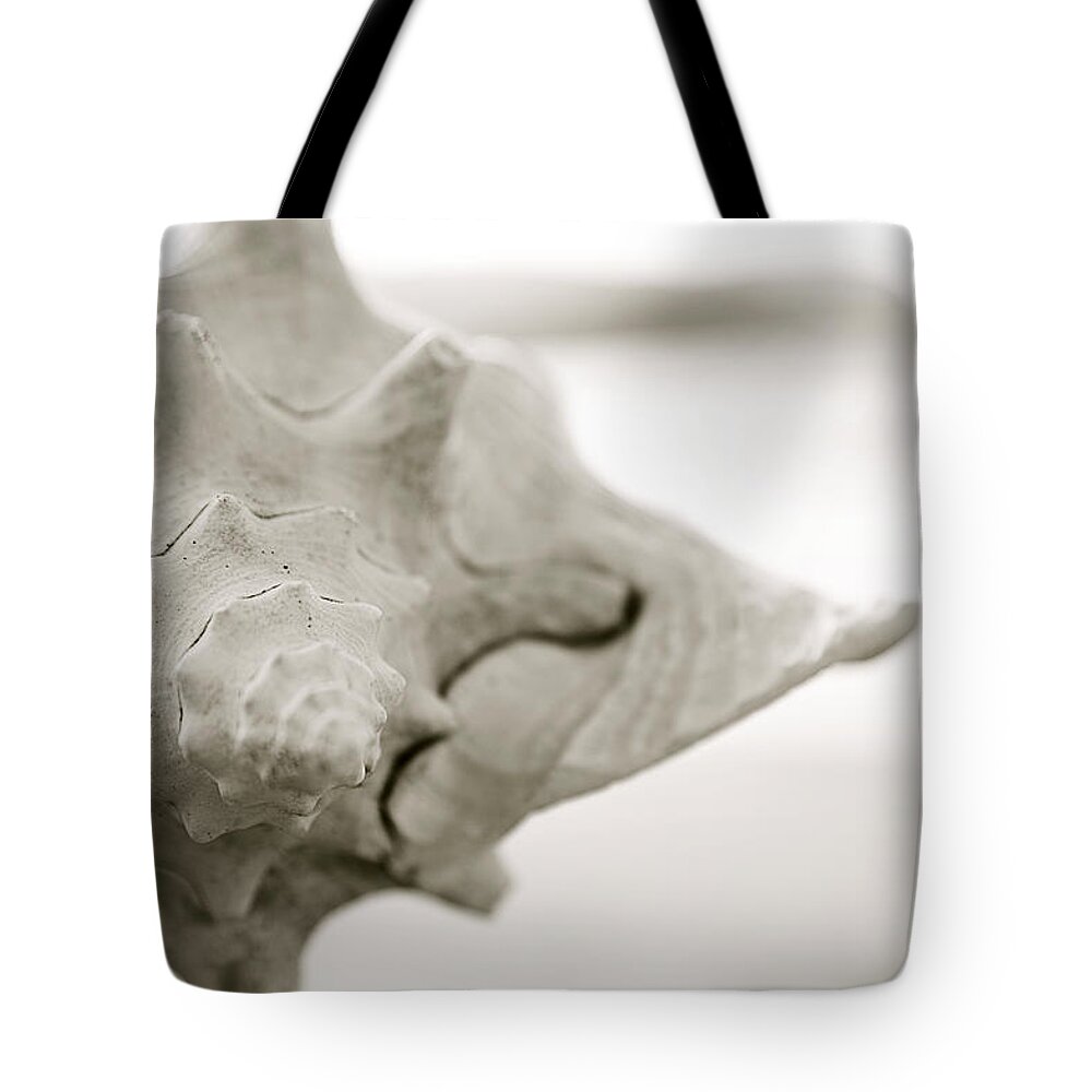 Art Medium Tote Bag featuring the photograph Black and White Seashell by Kicka Witte - Printscapes