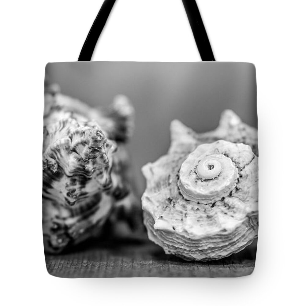 Shells Tote Bag featuring the photograph Black and White Shell Couple by Hermes Fine Art