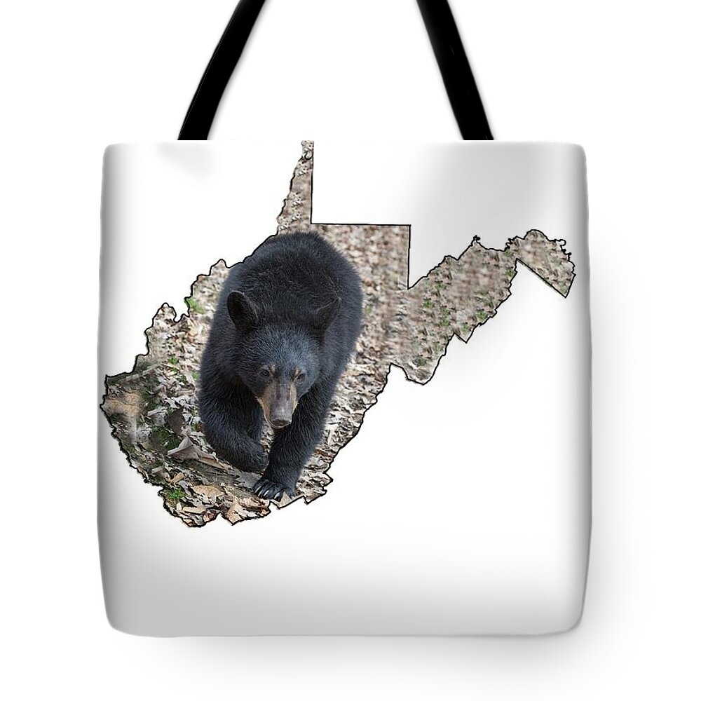 Black; Black Bear; Bear; Fall; Leaves; Tote Bag featuring the photograph Black bear coming close by Dan Friend