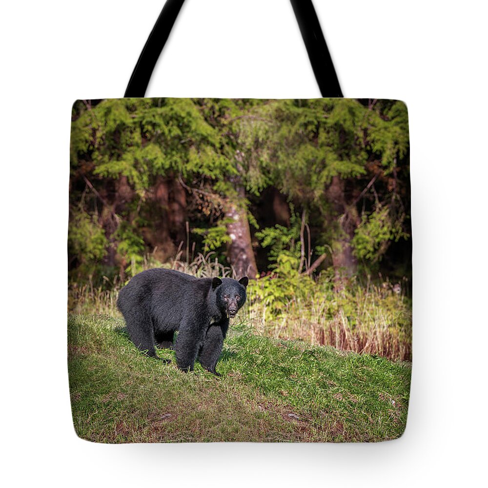 Black Bear Tote Bag featuring the photograph Black Bear by Canadart -