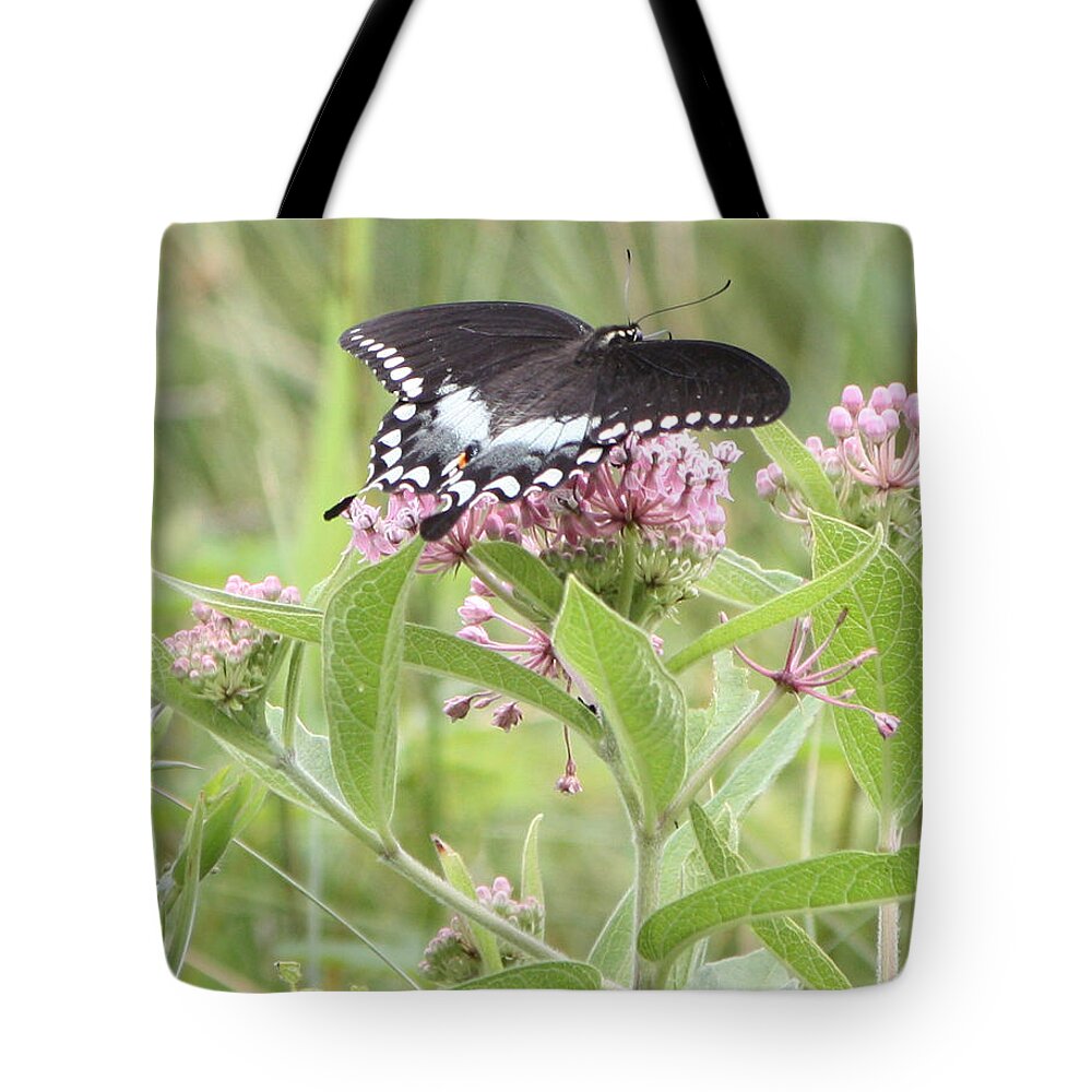 Butterfly Tote Bag featuring the photograph Black Beauty by Captain Debbie Ritter