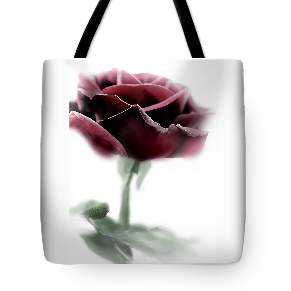 Rose Tote Bag featuring the photograph Black Beauty Red Rose Flower by Jennie Marie Schell