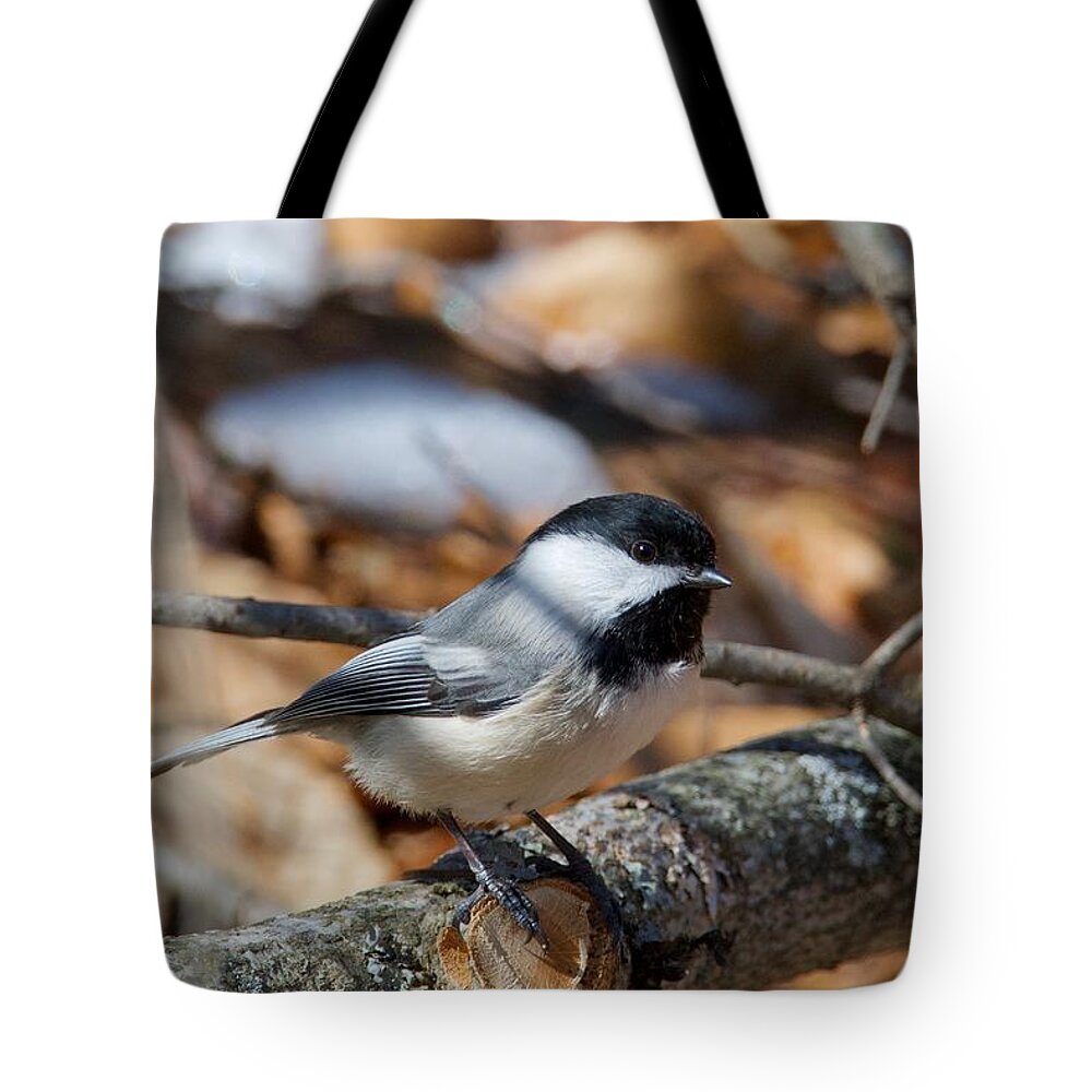 Black-capped Tote Bag featuring the photograph Black-capped Chickadee 0571 by Michael Peychich