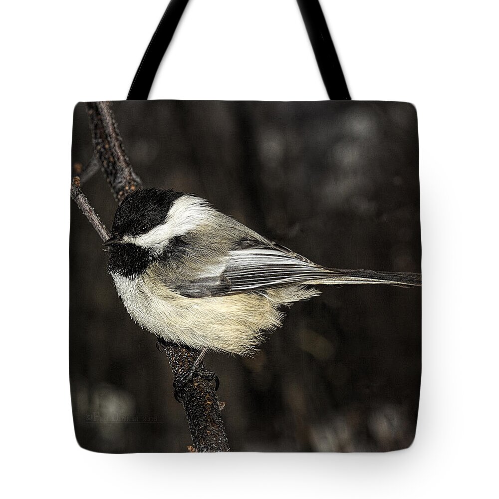 Bird Tote Bag featuring the photograph Black-Capped Chickadee by Fred Denner
