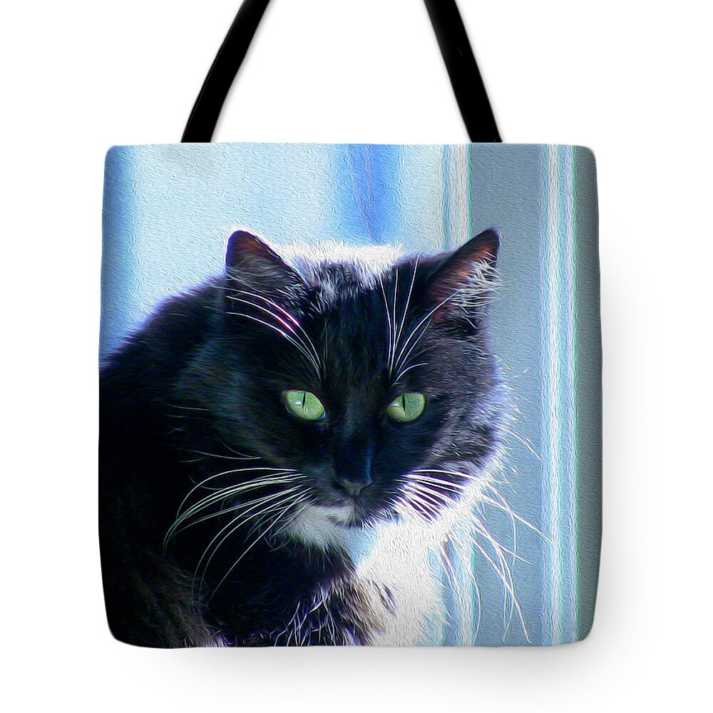 Bonnie Follett Tote Bag featuring the photograph Black Cat in sun by Bonnie Follett