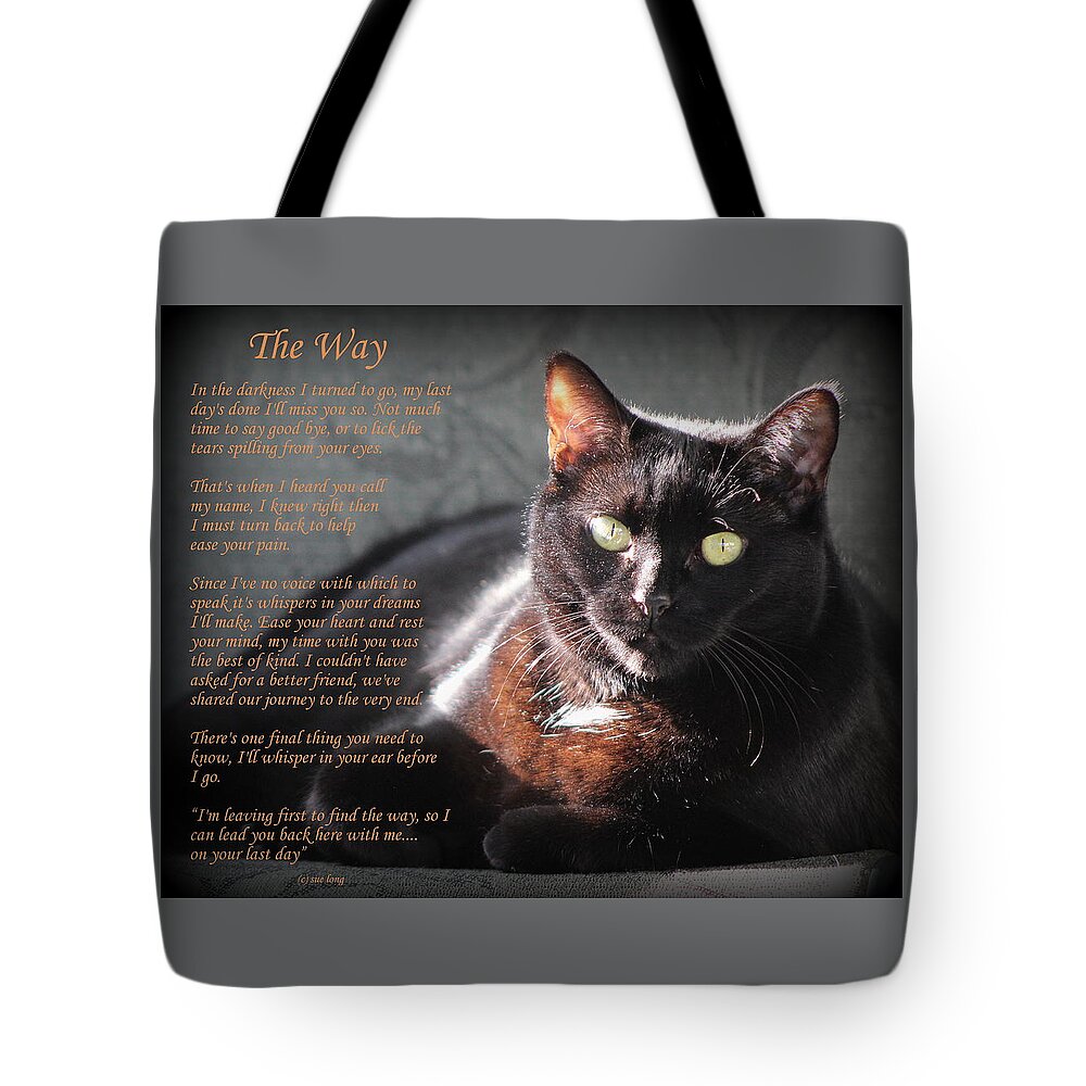 Black Cats Tote Bag featuring the photograph Black Cat The Way by Sue Long